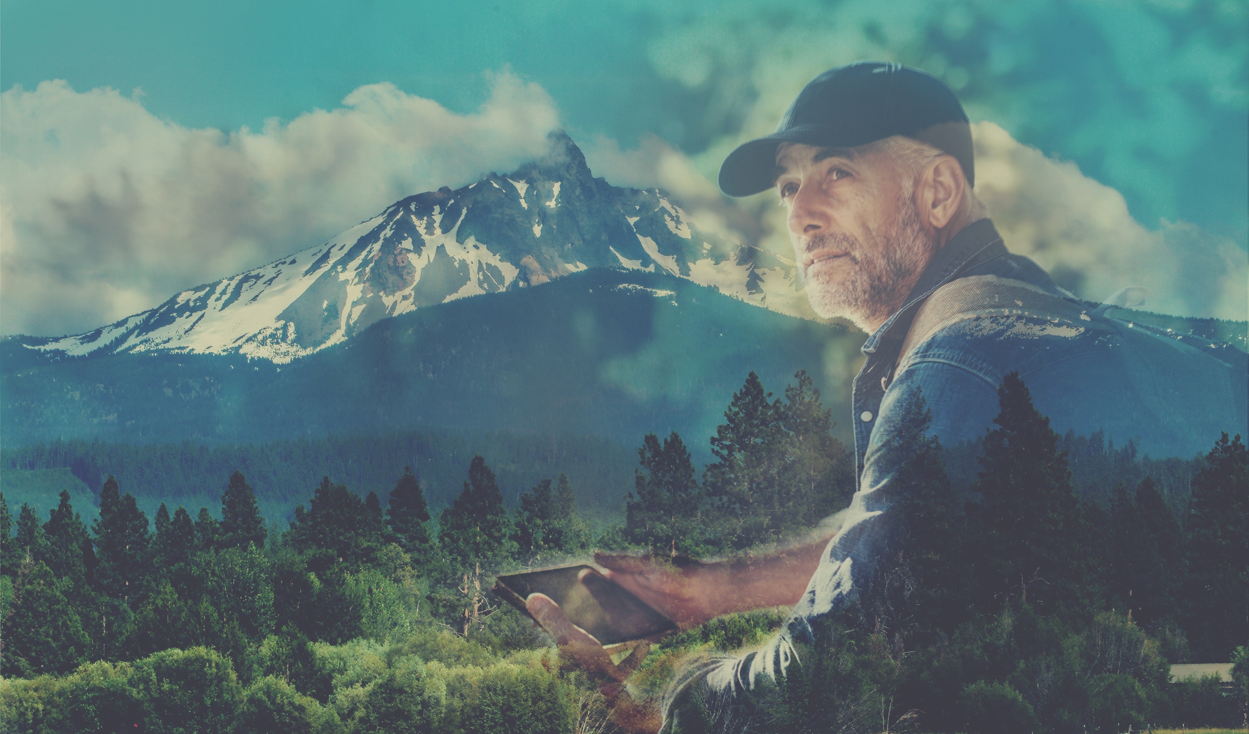 DFN_Case_Study Douglas Fast Net